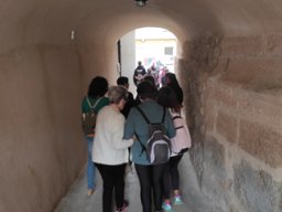 IMG_20221026_095724